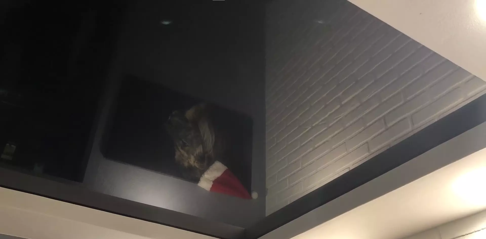 Старый Оскол, микрорайон Ольминского, 12а, фото 3